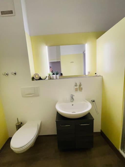 Fewo 20 - Appartement Im Rottalblick - Youngmodern Wohnen Mit Bademantelgang Zur Therme, Tv, Balkon Und Persoenlichem Gaesteempfang Von Astarte Estate Bad Griesbach  Exterior foto